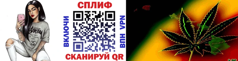  COCAIN Ирбит