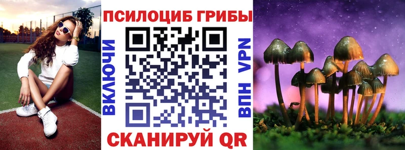 Галлюциногенные грибы Psilocybe  MEGA   Ирбит 